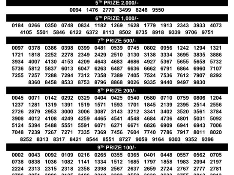 Rajshree Lottery Result Today
