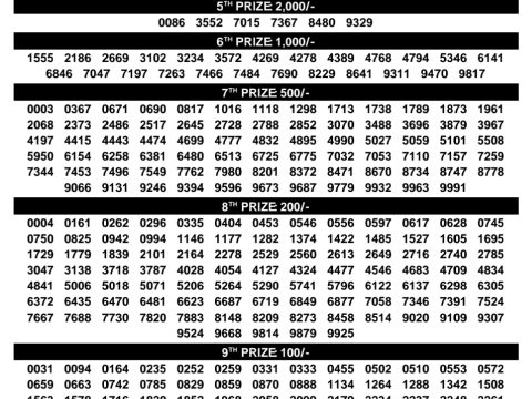 Rajshree Lottery Result Today