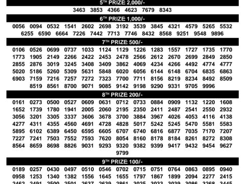 Rajshree Lottery Result Today