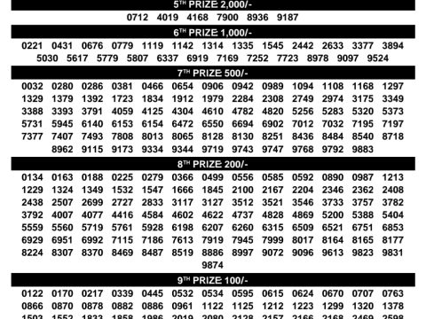 Rajshree Lottery Result Today