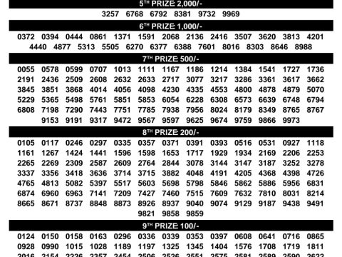 Rajshree Lottery Result Today