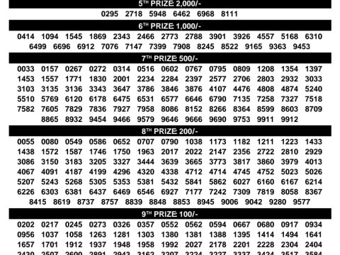 Rajshree Lottery Result Today