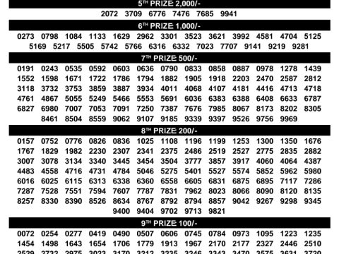 Rajshree Lottery Result Today