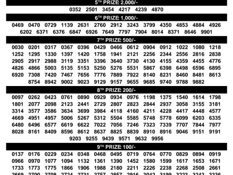 Rajshree Lottery Result Today