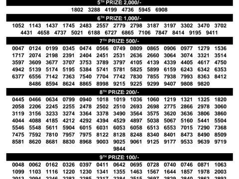 Rajshree Lottery Result Today