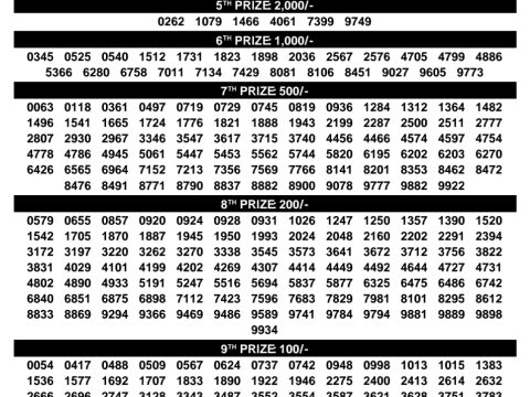 Rajshree Lottery Result Today