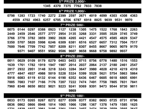 Rajshree Lottery Result Today