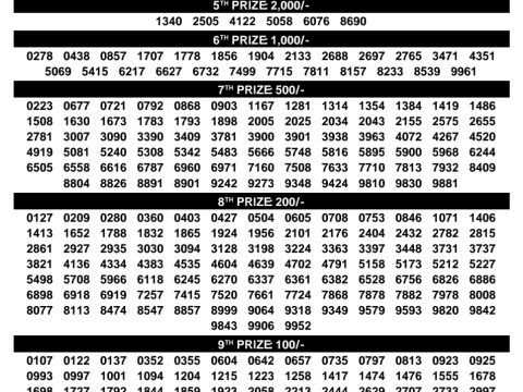 Rajshree Lottery Result Today