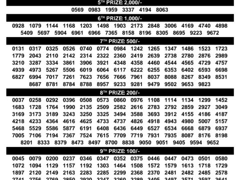 Rajshree Lottery Result Today