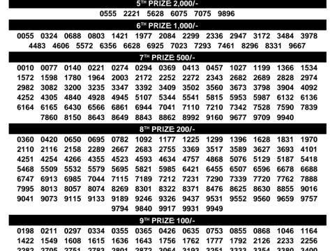 Rajshree Lottery Result Today