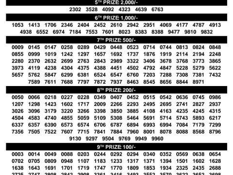 Rajshree Lottery Result Today