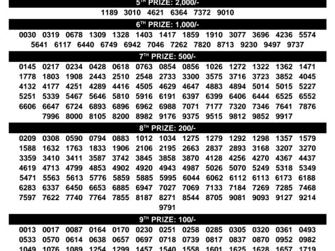 Rajshree Lottery Result Today