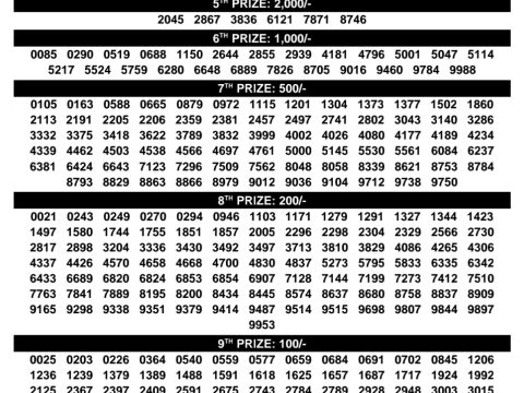 Rajshree Lottery Result Today