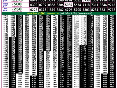 Rajshree Lottery Result Today