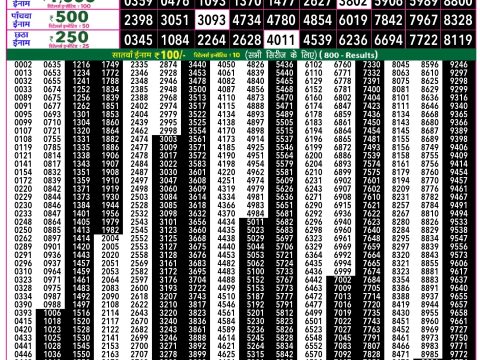 Rajshree Lottery Result Today