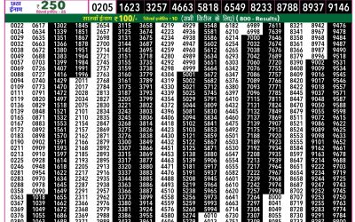 Rajshree 50 Mangal Weekly Lottery 7.30pm Result 10 February 2026