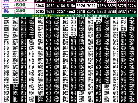Rajshree Lottery Result Today