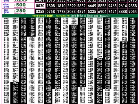 Rajshree Lottery Result Today
