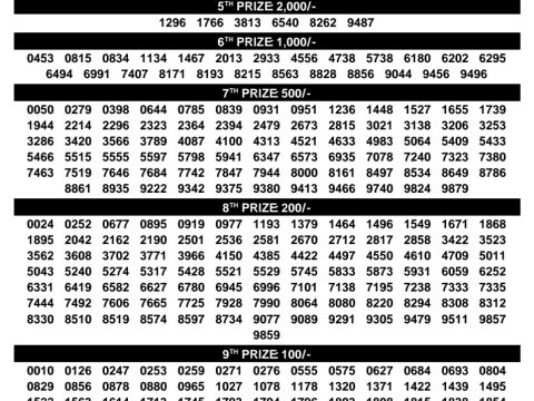 Rajshree Lottery Result Today