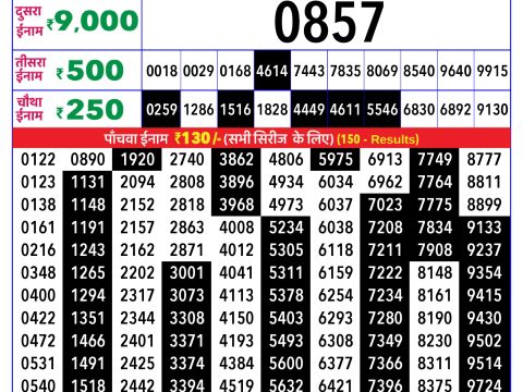 Rajshree Lottery Result Today