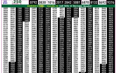 Rajshree 50 Ravi Weekly Lottery 7:30pm Result 15 March 2026