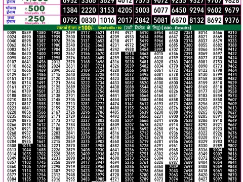 Rajshree Lottery Result Today