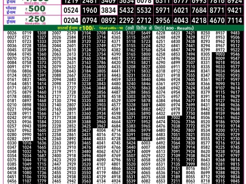 Rajshree Lottery Result Today
