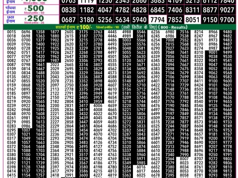 Rajshree Lottery Result Today
