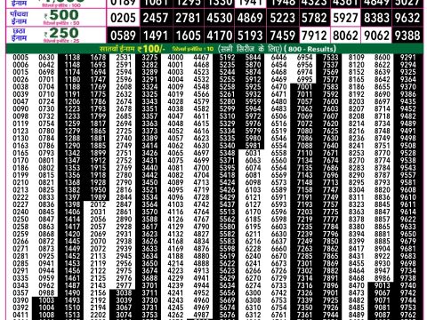 Rajshree Lottery Result Today