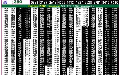 Rajshree 50 Mangal Weekly Lottery 7.30pm Result 17 March 2026