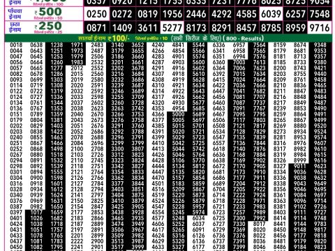 Rajshree Lottery Result Today
