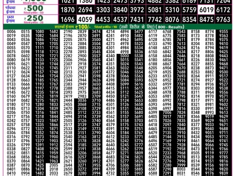 Rajshree Lottery Result Today