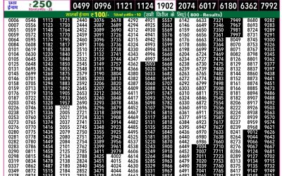 Rajshree 50 Budh Weekly Lottery 7:30pm Result 04 March 2026
