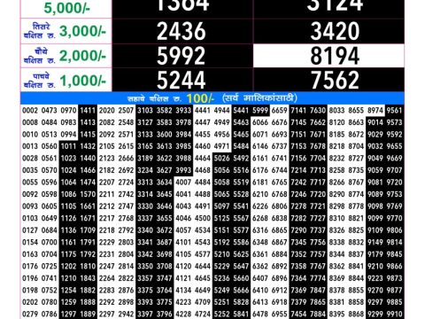 Rajshree Lottery Result Today