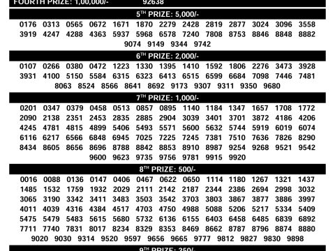 Rajshree Lottery Result Today