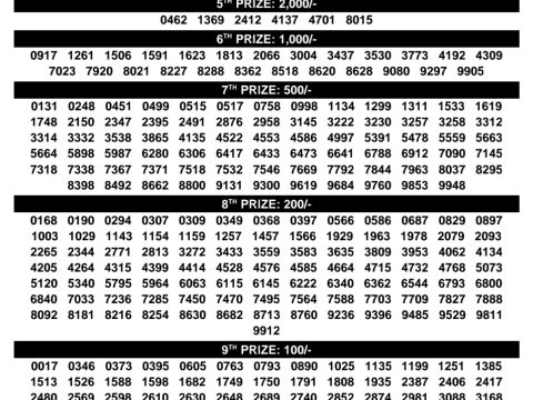 Rajshree Lottery Result Today