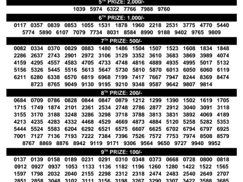 Rajshree Lottery Result Today