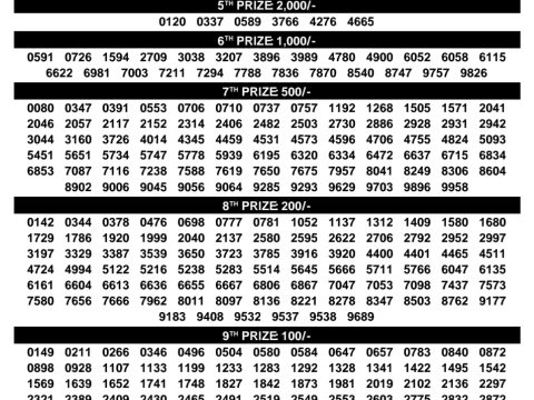 Rajshree Lottery Result Today