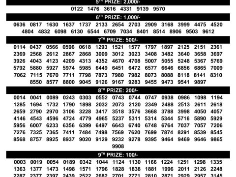 Rajshree Lottery Result Today