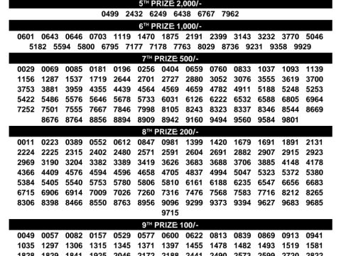Rajshree Lottery Result Today