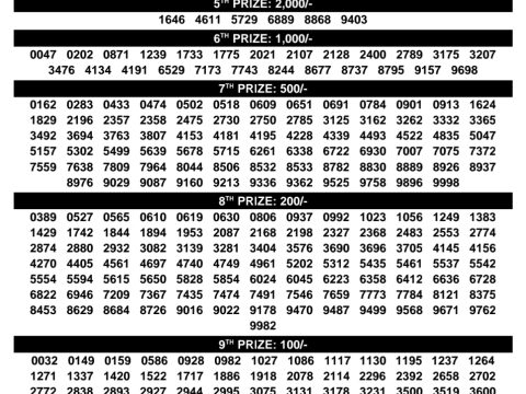 Rajshree Lottery Result Today