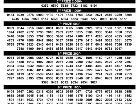Rajshree Lottery Result Today