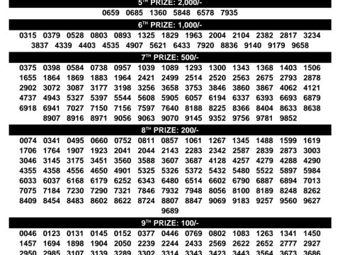 Rajshree Lottery Result Today