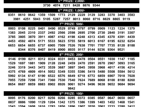 Rajshree Lottery Result Today