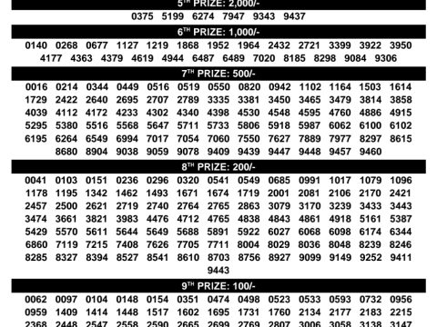 Rajshree Lottery Result Today