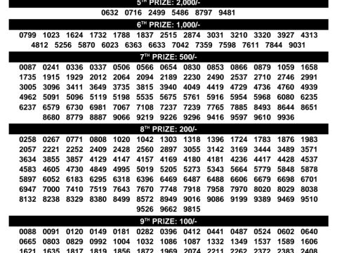 Rajshree Lottery Result Today