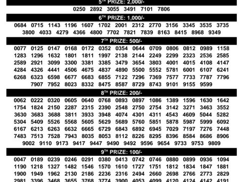 Rajshree Lottery Result Today