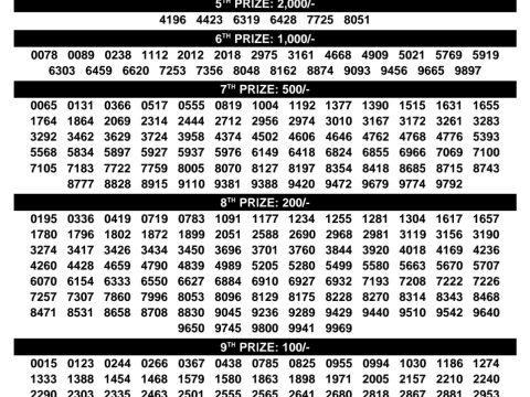 Rajshree Lottery Result Today