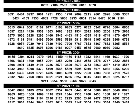 Rajshree Lottery Result Today