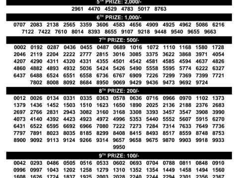 Rajshree Lottery Result Today
